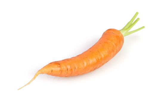carrot one