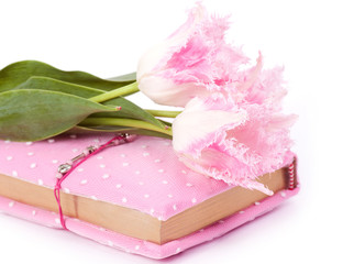 Pink notebook and tulips on the white background