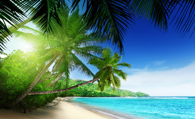 beach in sunset time on Mahe island in Seychelles