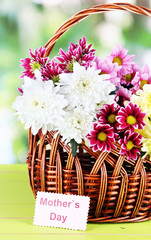 Bouquet of beautiful chrysanthemums in wicker basket