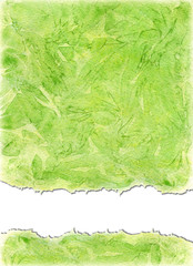 Watercolors background  in green yellow colors