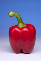 Red bell pepper in studio.