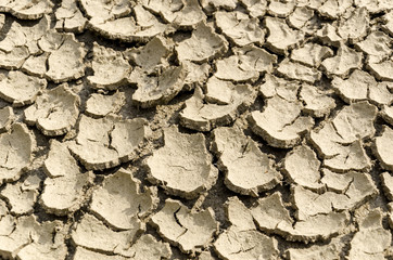 Cracked earth texture