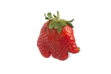 Original strawberry sweet elephant isolated on white