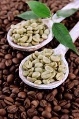 Green and brown coffee beans with leaves