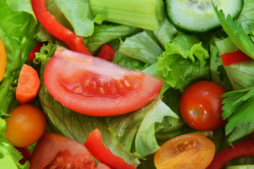 salad with vegetable
