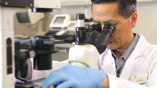 Male Scientist Using Microscope In Laboratory