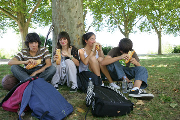 Teenager's picnic in the park