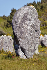 Standing stones at Carnac in France