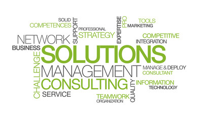 Network Solutions management consulting word tag cloud image