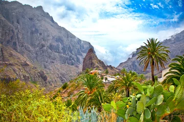 Fotobehang Masca Village in Tenerife, Canary Islands, Spain © Aleksandar Todorovic