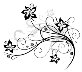 Door stickers Flowers black and white Blume, Blüte, Ranke, schwarz, grau