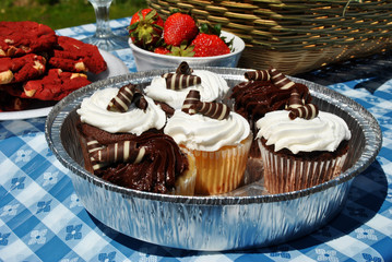 Gourmet Picnic Cupcakes, Cookies and Berries