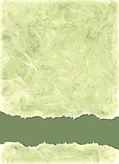Watercolors background  in green olive colors