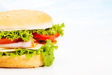 Closeup of sandwich