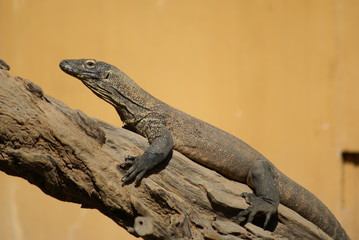 Naklejka premium 緊張