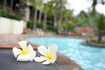 Fototapeta na wymiar Tropical flowers Swimming pool