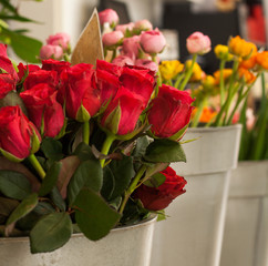 Blumen in einer Gärtnerei
