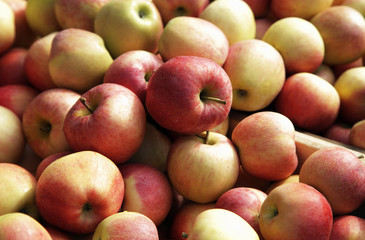 Aepfel