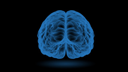 Brain