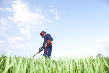 work in a field