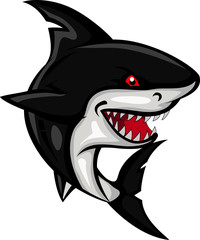 Obraz premium angry shark cartoon