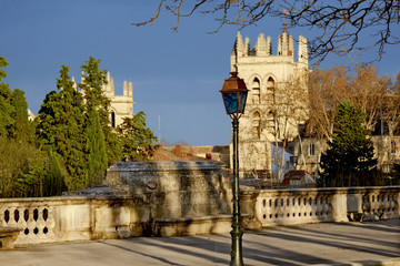 Obraz premium park and in the background you can see the city