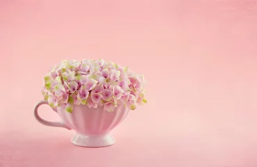 Crédence de cuisine en verre imprimé Hortensia Pink hydrangea flowers
