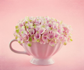 Romantic pink hydrangea flowers in a mug