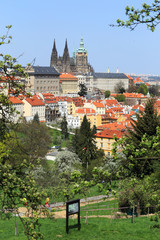 Spring Prague gothic Castle with flowering Trees, Czech Republic
