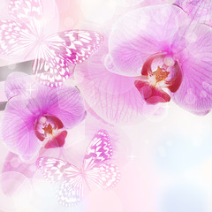Orchid Flower background, tender blur colors and bokeh