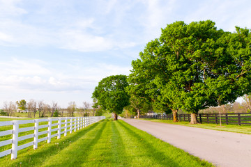 Country road