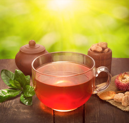 glass cup of tea on sunny natural background