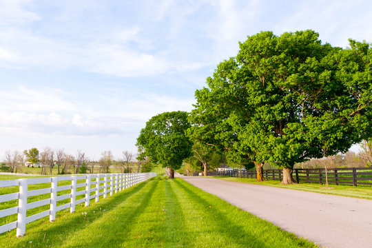 Country road