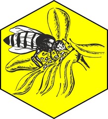 bee on flower icon vector