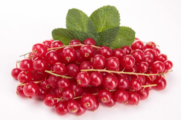 isolated red currant
