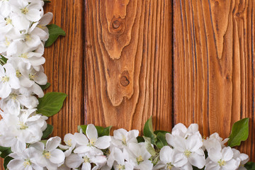 Corner floral frame from flowers apple tree on a wooden