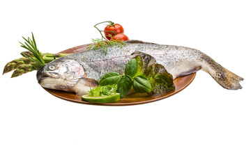 Fresh raw rainbow trout