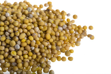 yellow mustard seeds