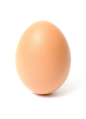 close up of egg on white background with clipping path