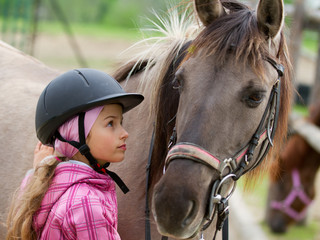 Horse and lovely equestrian girl