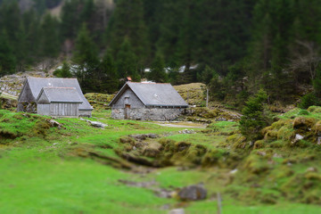 Fototapeta na wymiar Swiss chalets in the mountains
