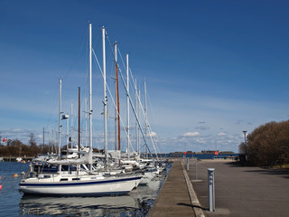 sailboats at the marina