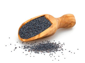 poppy seed