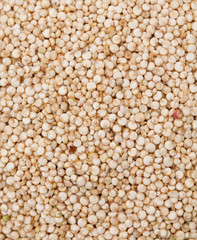 uncooked quinoa