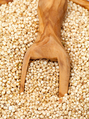 quinoa in a wooden scoop