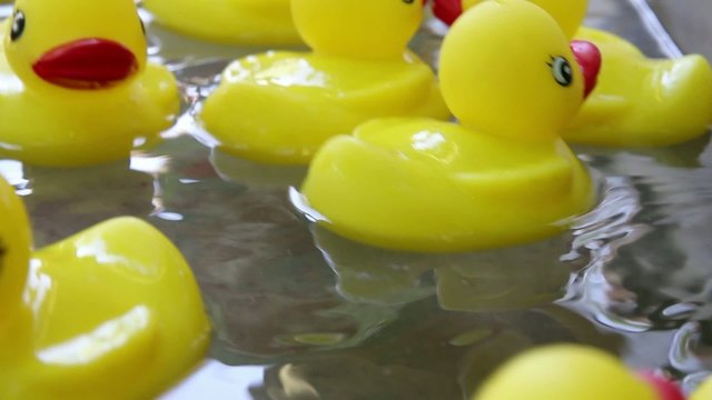 Rubber Duckies Floating in a Pool of Moving Water