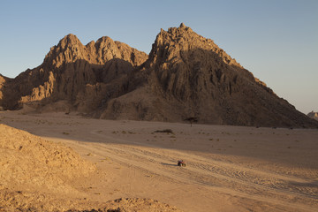 Fototapeta na wymiar Góra Synaj w Egipcie