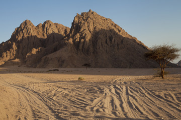 Mount Sinai in Egypt