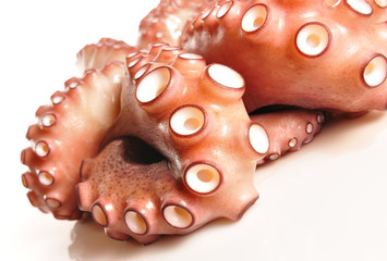 Primer plano sobre pulpo. © Sergio Martínez